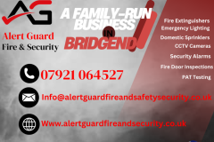 Alert-Guard-10.5-x-14.8-cm_20250411_111040_0000