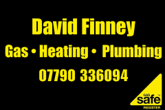 David-Finney